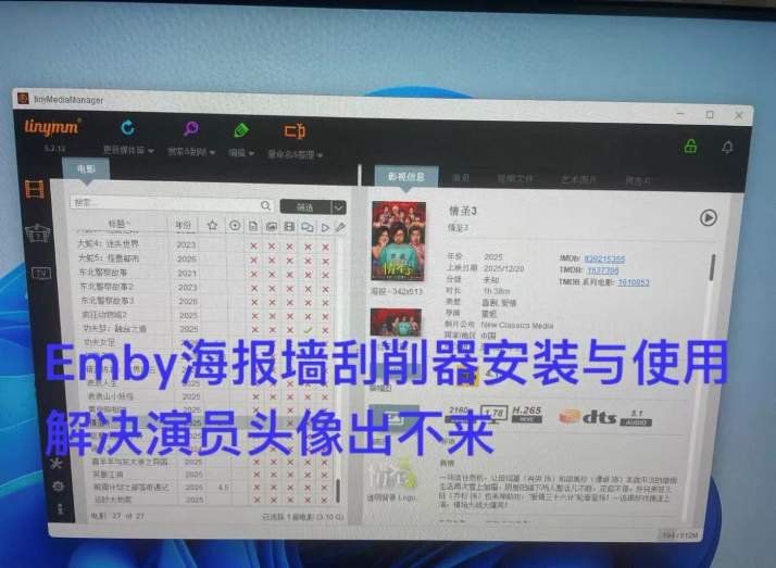 Emby有海报墙但不显示演员头像解决办法
